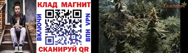 Купить наркоту Пушкино A-PVP  МЕФ  Гашиш  Бошки Шишки 