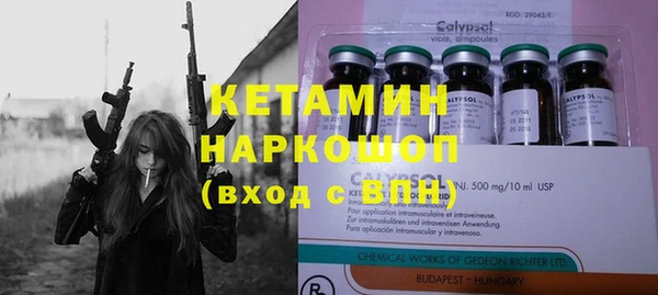 молекула духа Арсеньев