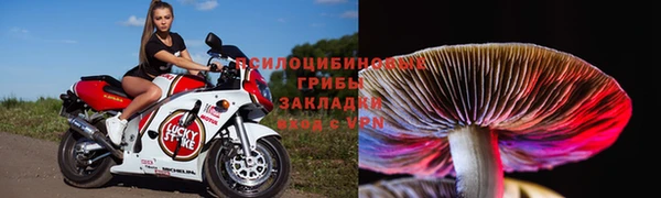 амф Алексеевка