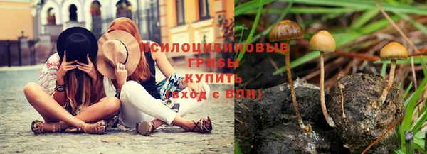 молекула духа Арсеньев