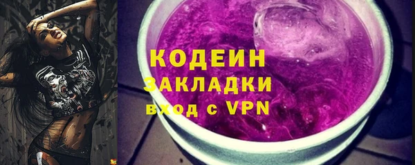 молекула духа Арсеньев