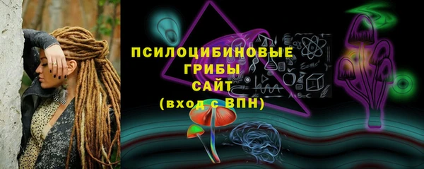 молекула духа Арсеньев