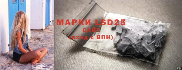 молекула духа Арсеньев